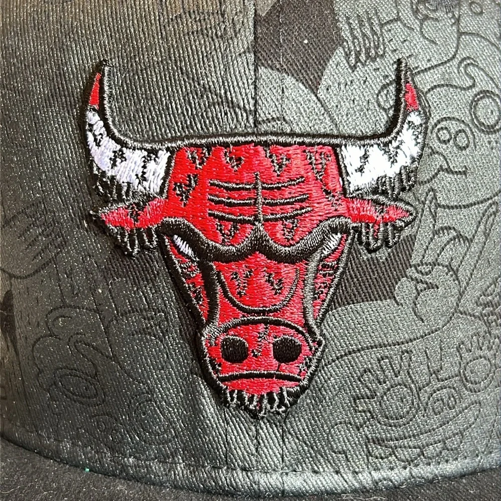 Chicago Bulls artist series hat by Melonwear